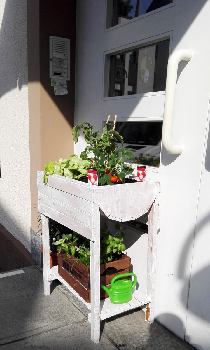Kr&auml;uter vor der Haust&uuml;r