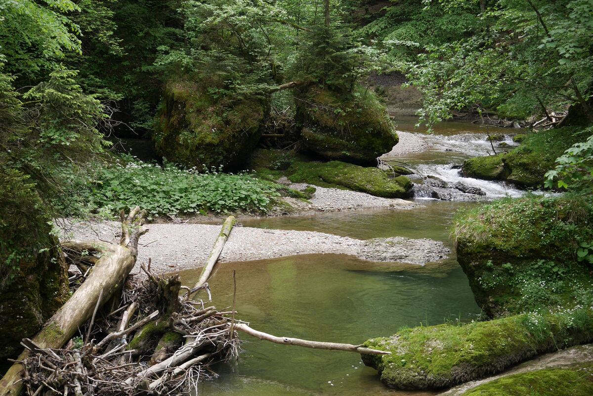 Pfingstfreizeit im Allg&auml;u